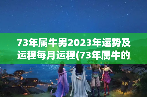 73年属牛男2023年运势及运程每月运程(73年属牛的人明年运气怎么样)