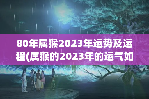 80年属猴2023年运势及运程(属猴的2023年的运气如何)