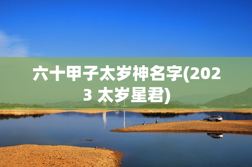 六十甲子太岁神名字(2023 太岁星君)