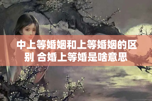 中上等婚姻和上等婚姻的区别 合婚上等婚是啥意思