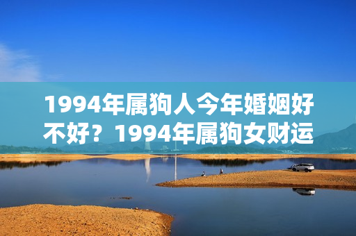 1994年属狗人今年婚姻好不好？1994年属狗女财运