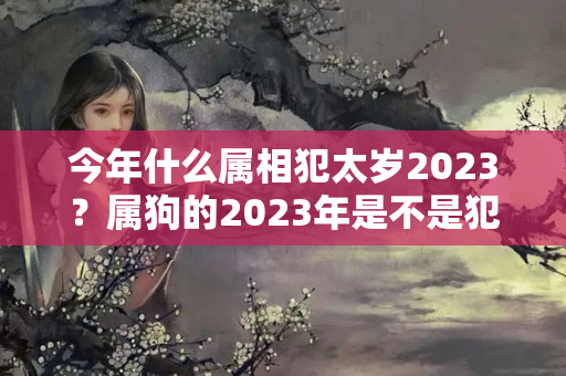 今年什么属相犯太岁2023？属狗的2023年是不是犯太岁