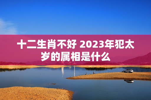 十二生肖不好 2023年犯太岁的属相是什么