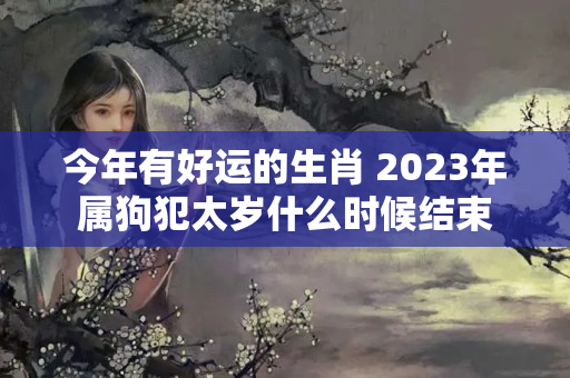 今年有好运的生肖 2023年属狗犯太岁什么时候结束