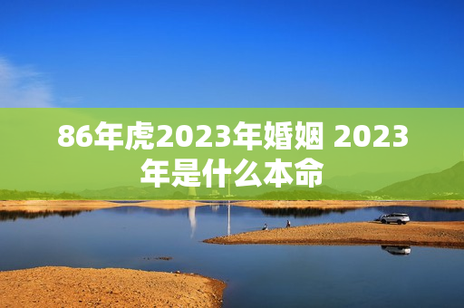 86年虎2023年婚姻 2023年是什么本命