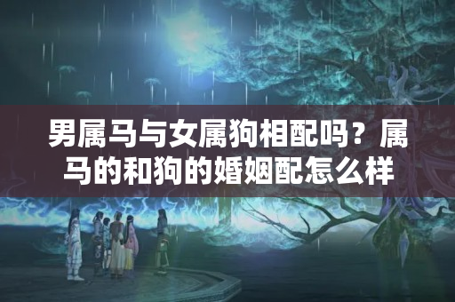 男属马与女属狗相配吗？属马的和狗的婚姻配怎么样