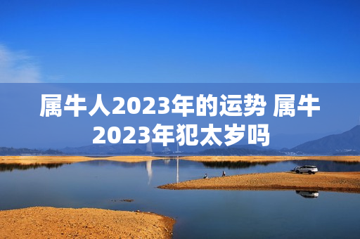 属牛人2023年的运势 属牛2023年犯太岁吗