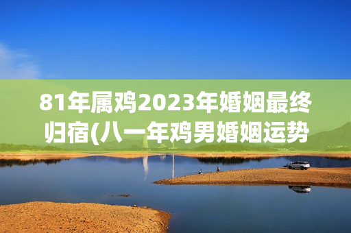 81年属鸡2023年婚姻最终归宿(八一年鸡男婚姻运势)