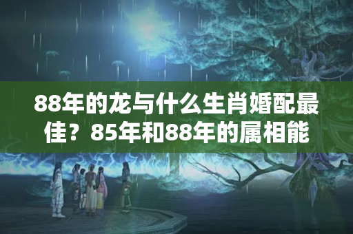 88年的龙与什么生肖婚配最佳？85年和88年的属相能婚配吗