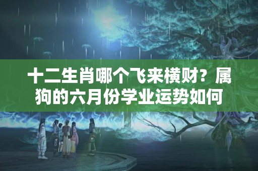 十二生肖哪个飞来横财？属狗的六月份学业运势如何