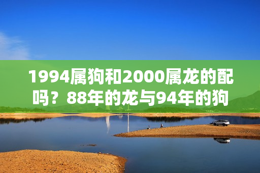 1994属狗和2000属龙的配吗？88年的龙与94年的狗可以婚配吗