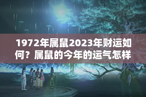 1972年属鼠2023年财运如何？属鼠的今年的运气怎样