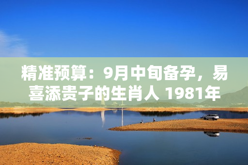 精准预算：9月中旬备孕，易喜添贵子的生肖人 1981年属鸡住哪个楼层好