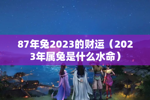 87年兔2023的财运（2023年属兔是什么水命）