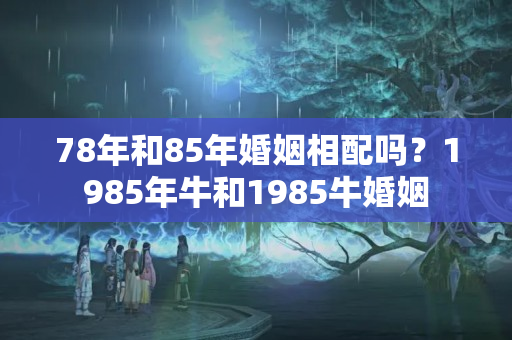 78年和85年婚姻相配吗？1985年牛和1985牛婚姻