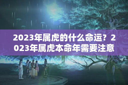 2023年属虎的什么命运？2023年属虎本命年需要注意什么