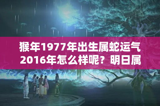 猴年1977年出生属蛇运气2016年怎么样呢？明日属蛇的财运