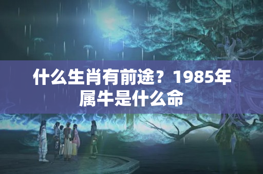 什么生肖有前途？1985年属牛是什么命