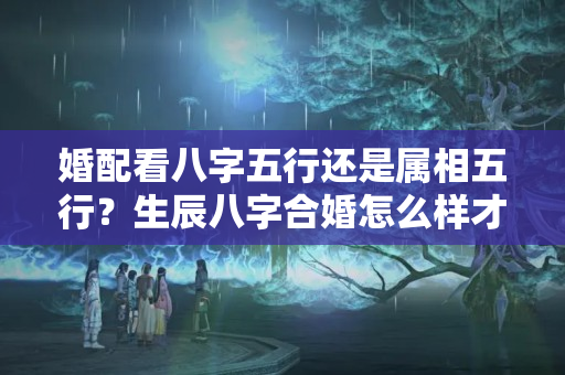 婚配看八字五行还是属相五行？生辰八字合婚怎么样才算好