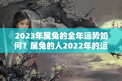 2023年属兔的全年运势如何？属兔的人2022年的运势