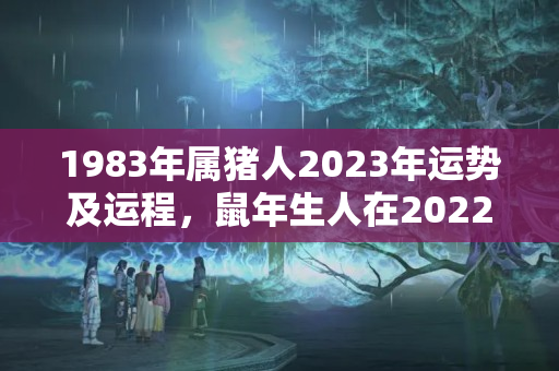 1983年属猪人2023年运势及运程，鼠年生人在2022年运势如何