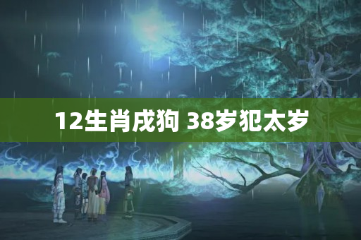 12生肖戌狗 38岁犯太岁