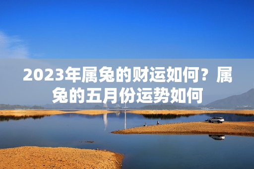 2023年属兔的财运如何？属兔的五月份运势如何