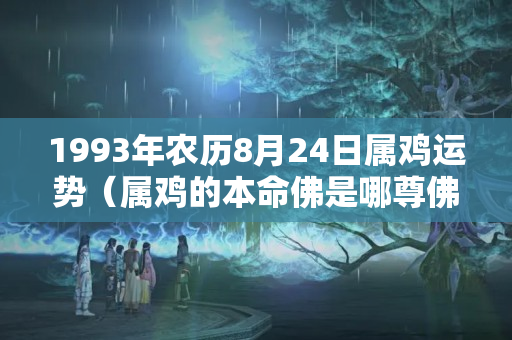 1993年农历8月24日属鸡运势（属鸡的本命佛是哪尊佛图片）