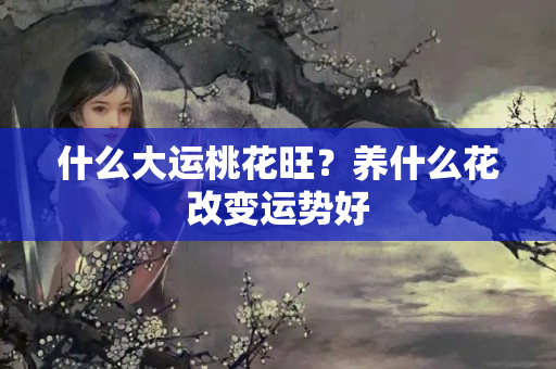 什么大运桃花旺？养什么花改变运势好