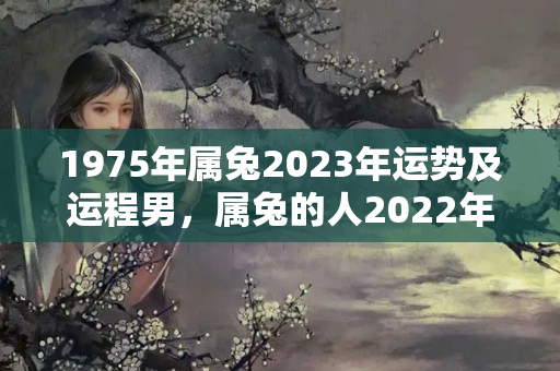 1975年属兔2023年运势及运程男，属兔的人2022年的运气