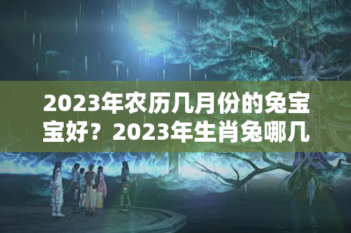 2023年农历几月份的兔宝宝好？2023年生肖兔哪几个月好命