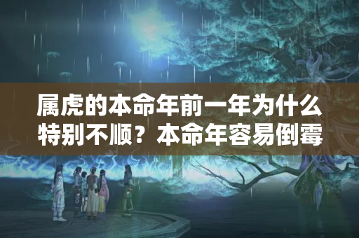 属虎的本命年前一年为什么特别不顺？本命年容易倒霉吗属虎的女孩