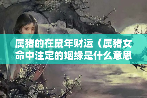 属猪的在鼠年财运（属猪女命中注定的姻缘是什么意思）