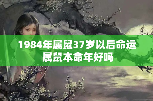 1984年属鼠37岁以后命运 属鼠本命年好吗