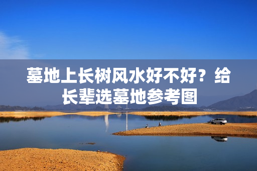 墓地上长树风水好不好？给长辈选墓地参考图