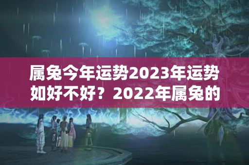 属兔今年运势2023年运势如好不好？2022年属兔的是什么命运