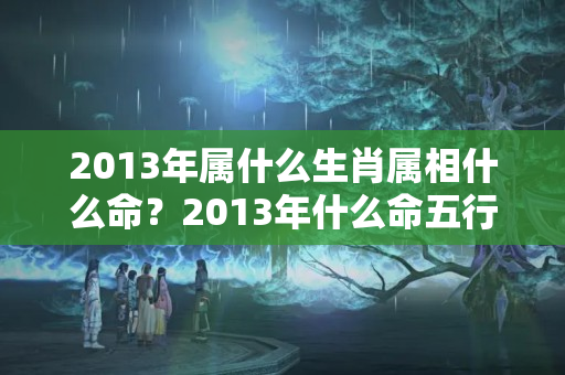 2013年属什么生肖属相什么命？2013年什么命五行属什么生肖