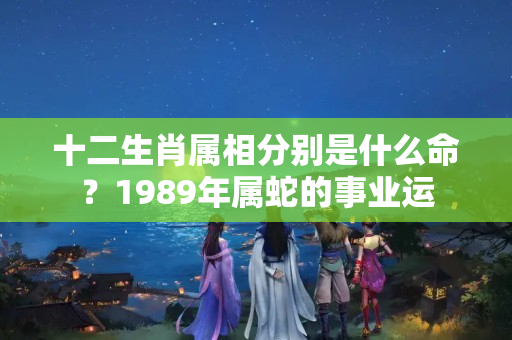 十二生肖属相分别是什么命？1989年属蛇的事业运