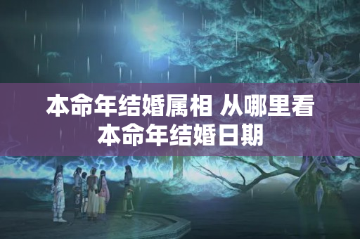 本命年结婚属相 从哪里看本命年结婚日期