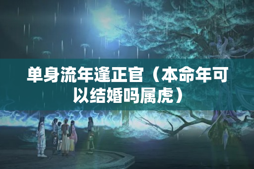 单身流年逢正官（本命年可以结婚吗属虎）