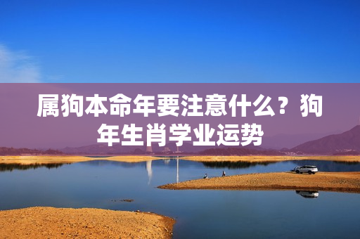 属狗本命年要注意什么？狗年生肖学业运势