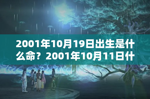 2001年10月19日出生是什么命？2001年10月11日什么命