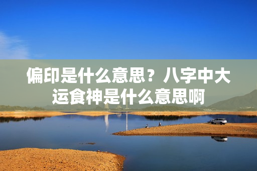 偏印是什么意思？八字中大运食神是什么意思啊