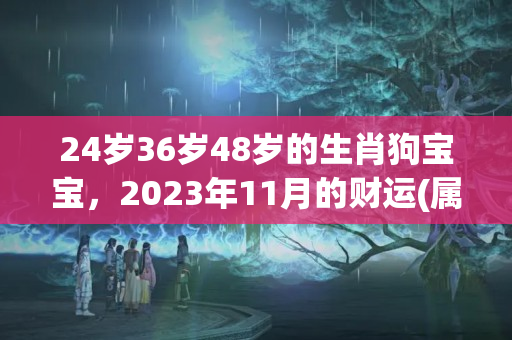 24岁36岁48岁的生肖狗宝宝，2023年11月的财运(属狗女1994年事业运)