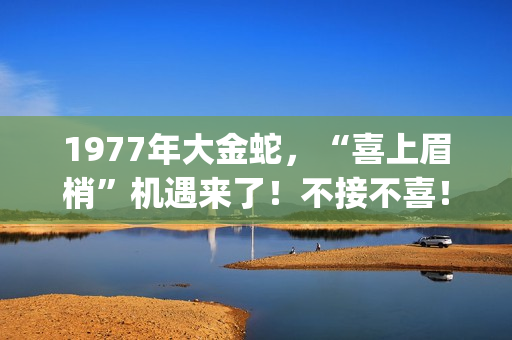 1977年大金蛇，“喜上眉梢”机遇来了！不接不喜！(生肖蛇的贵人运是什么)