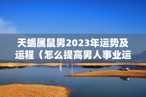 天蝎属鼠男2023年运势及运程（怎么提高男人事业运）