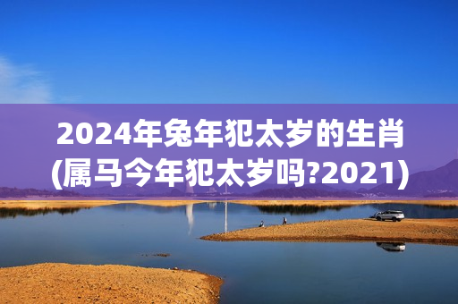 2024年兔年犯太岁的生肖(属马今年犯太岁吗?2021)