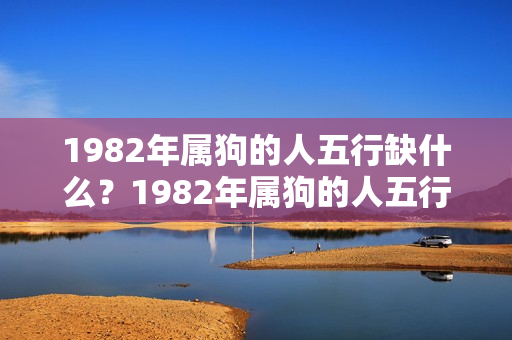 1982年属狗的人五行缺什么？1982年属狗的人五行什么命