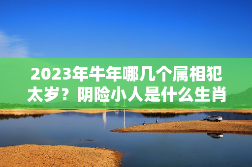 2023年牛年哪几个属相犯太岁？阴险小人是什么生肖