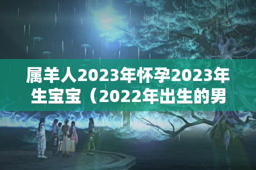 属羊人2023年怀孕2023年生宝宝（2022年出生的男孩儿是什么命?）